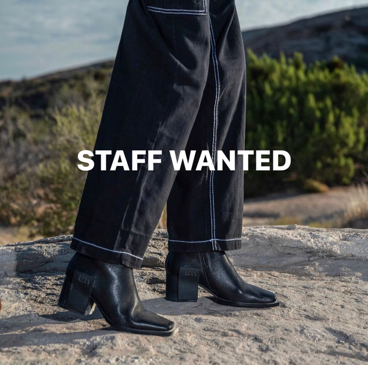［STAFF WANTED］