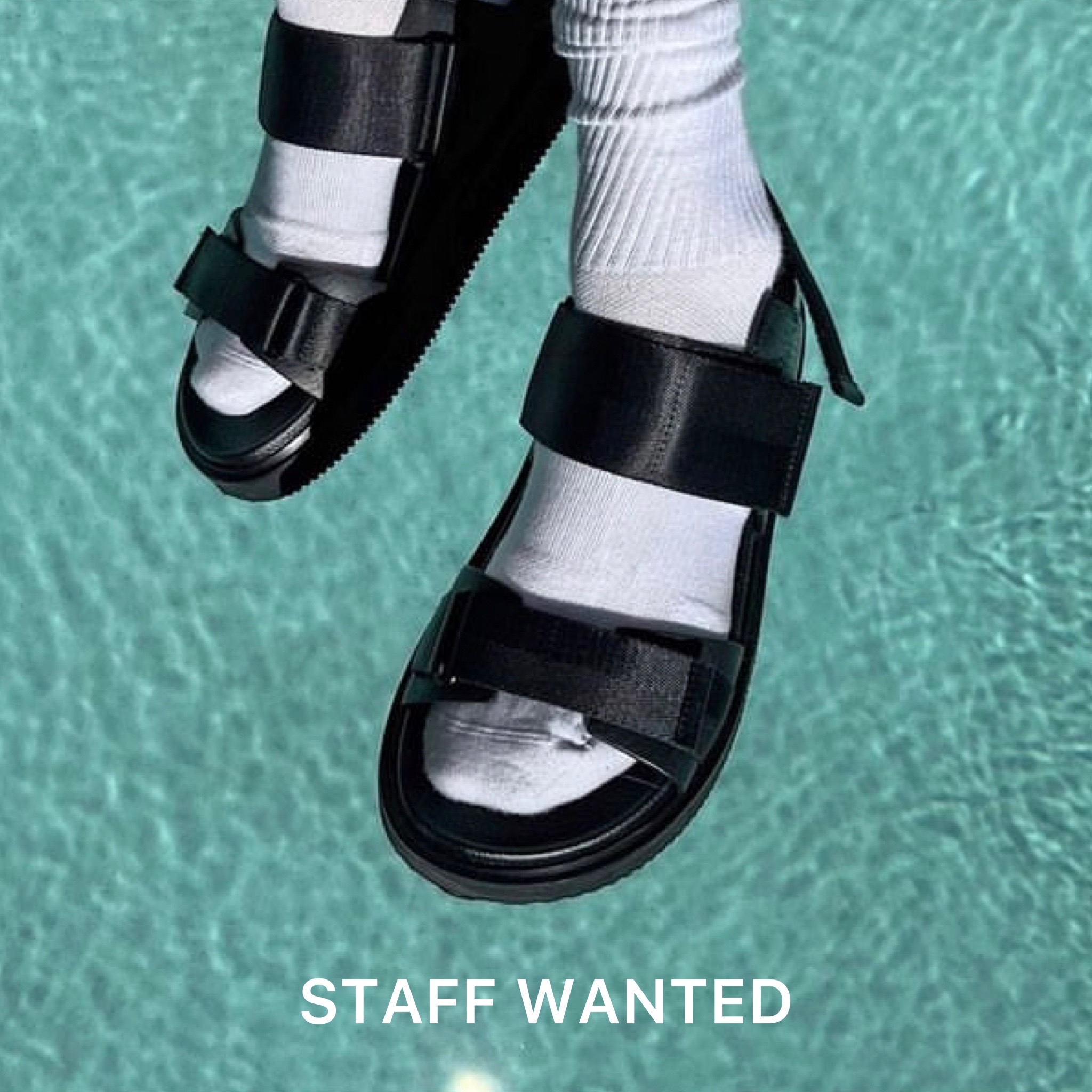 ［STAFF WANTED］
