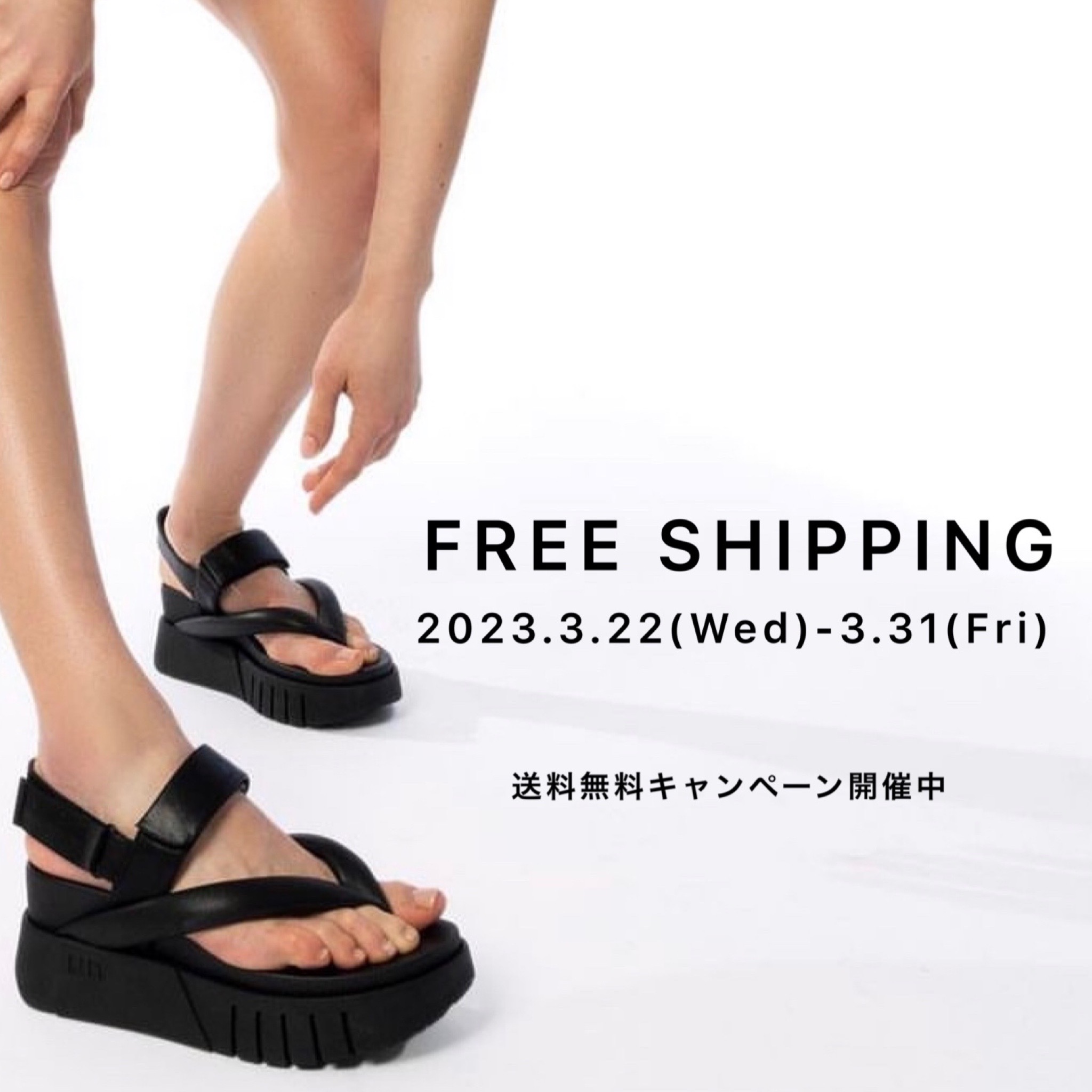 FREE SHIPPING